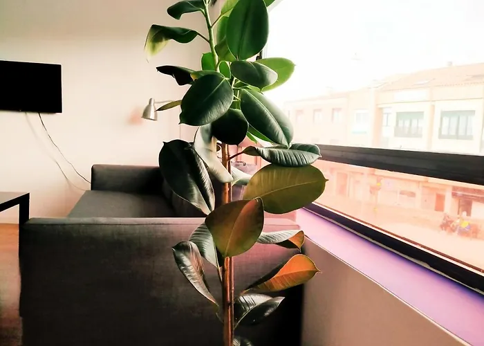 Toletum Cost Lofts Diafanos O 2dormitorios Parking Municipal Gratis Al Aire Libre A 100m * Toledo