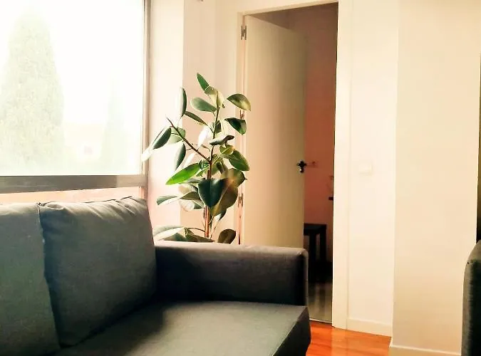 Toletum Cost Lofts Diafanos O 2dormitorios Parking Municipal Gratis Al Aire Libre A 100m Appartement