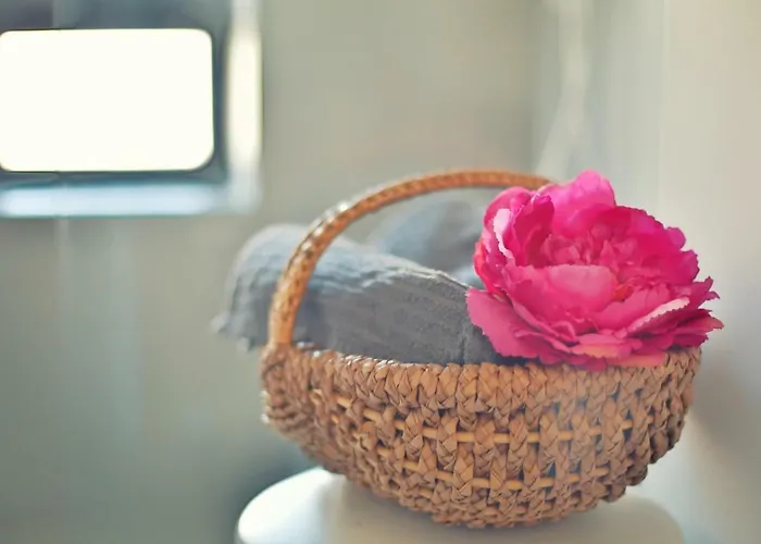 Daire Toletum Cost Lofts Diafanos O 2dormitorios Parking Municipal Gratis Al Aire Libre A 100m