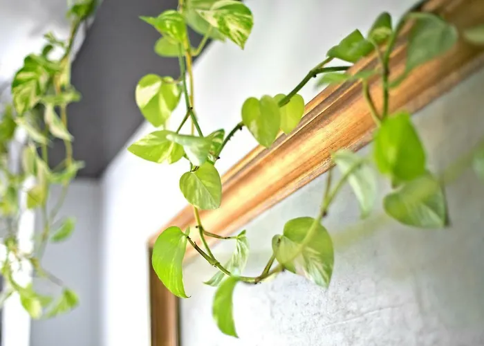 Toletum Cost Lofts Diafanos O 2dormitorios Parking Municipal Gratis Al Aire Libre A 100m Daire Toledo