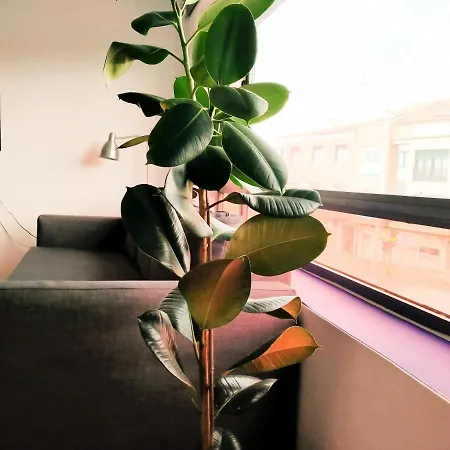 Toletum Cost Lofts Diafanos O 2dormitorios Parking Municipal Gratis Al Aire Libre A 100m * توليدو