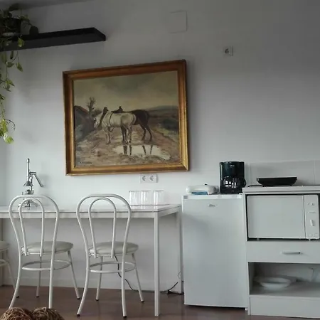 Toletum Cost Lofts Diafanos O 2dormitorios Parking Municipal Gratis Al Aire Libre A 100m * توليدو