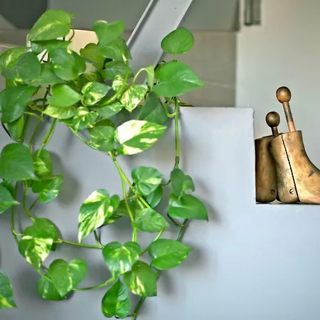 Toletum Cost Lofts Diafanos O 2dormitorios Parking Municipal Gratis Al Aire Libre A 100m Appartement Tolède