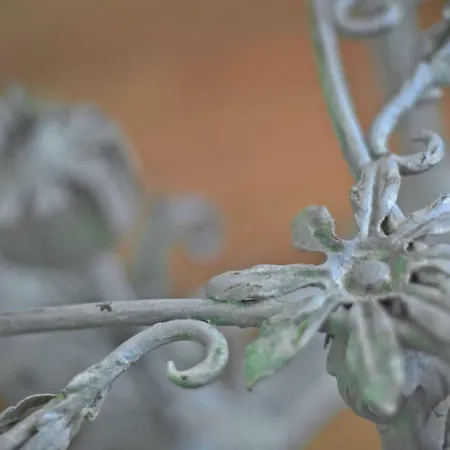 Toletum Cost Lofts Diafanos O 2dormitorios Parking Municipal Gratis Al Aire Libre A 100m Tolède