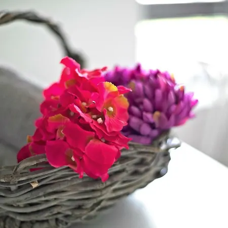 Toletum Cost Lofts Diafanos O 2dormitorios Parking Municipal Gratis Al Aire Libre A 100m *