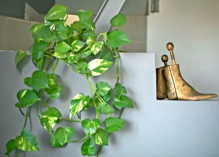 Toletum Cost Lofts Diafanos O 2dormitorios Parking Municipal Gratis Al Aire Libre A 100m Апартаменты Толедо