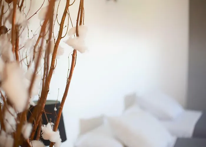 Апартаменты Toletum Cost Lofts Diafanos O 2dormitorios Parking Municipal Gratis Al Aire Libre A 100m Толедо