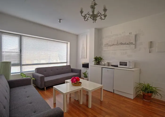 Toletum Cost Lofts Diafanos O 2dormitorios Parking Municipal Gratis Al Aire Libre A 100m *