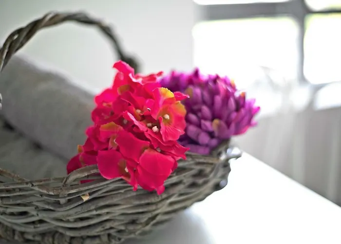 Toletum Cost Lofts Diafanos O 2dormitorios Parking Municipal Gratis Al Aire Libre A 100m *